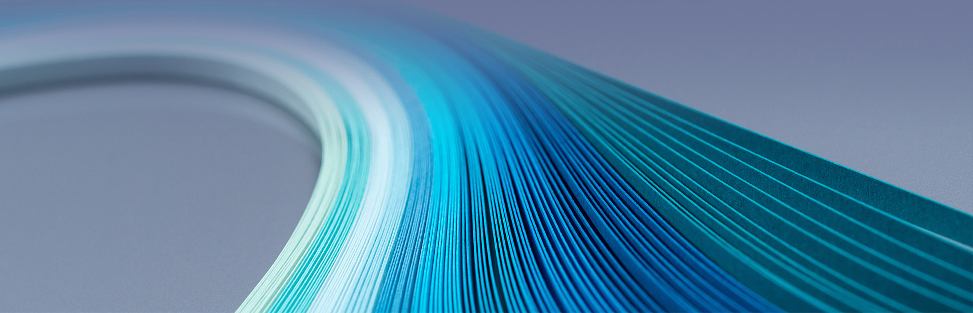 ��Ƶ����