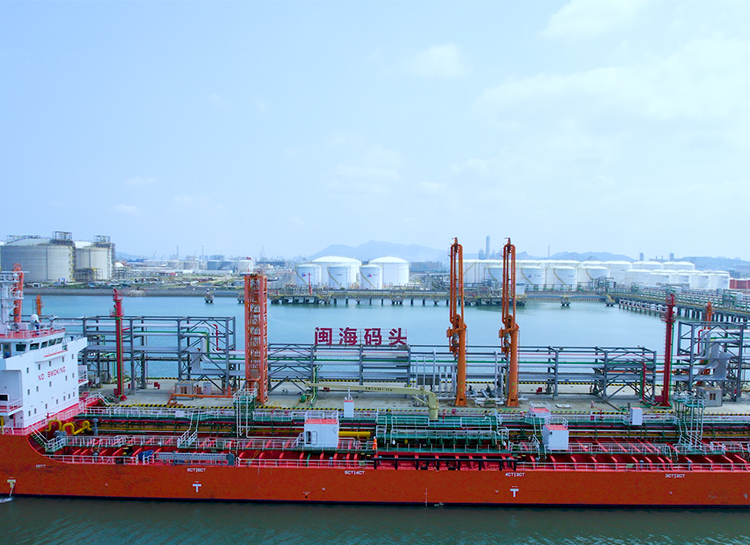 ��˹ά��˹(3499��VIP��֤)����-LasVegasApp