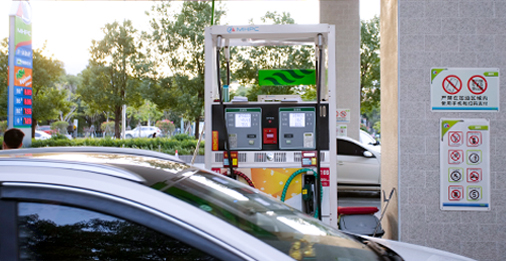 ��˹ά��˹(3499��VIP��֤)����-LasVegasApp