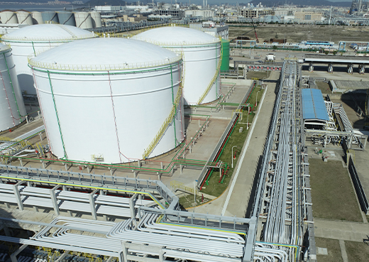 ��˹ά��˹(3499��VIP��֤)����-LasVegasApp