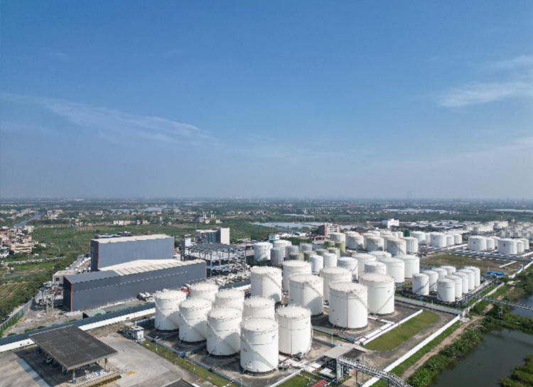 ��˹ά��˹(3499��VIP��֤)����-LasVegasApp