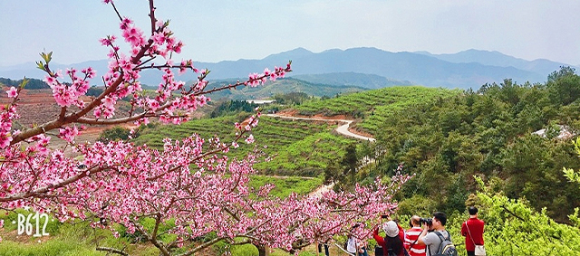 ��˹ά��˹(3499��VIP��֤)����-LasVegasApp