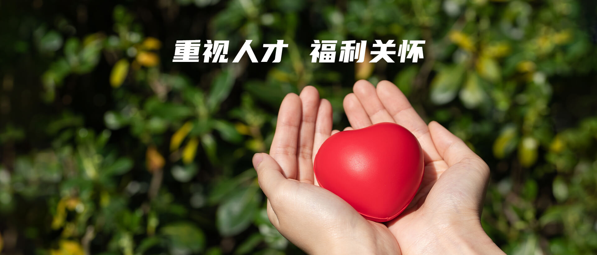 Ա������